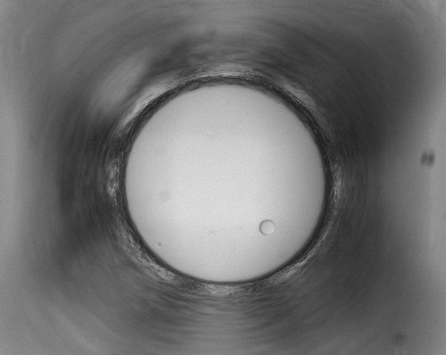 X0000116061258200911201153