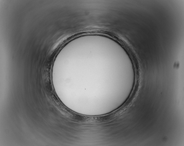 X0000116061259200911201153
