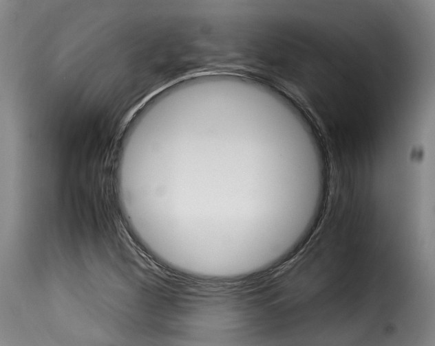 X0000116061260200911201153