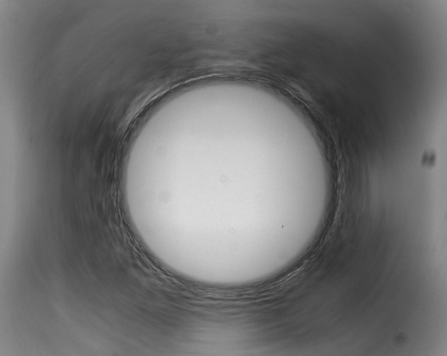 X0000116061261200911201153