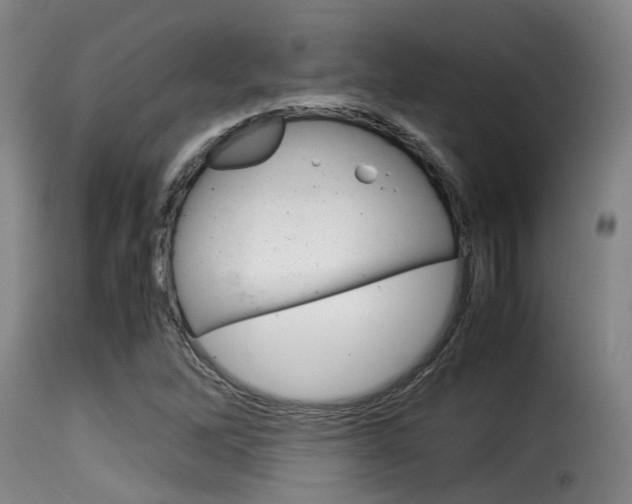 X0000116061262200911201153