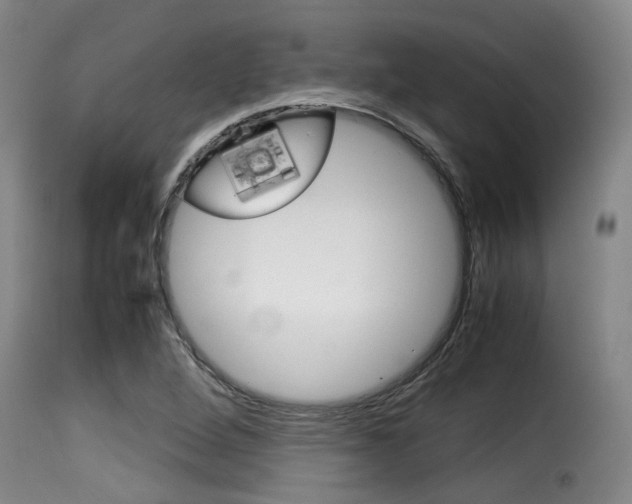 X0000116061264200911201153