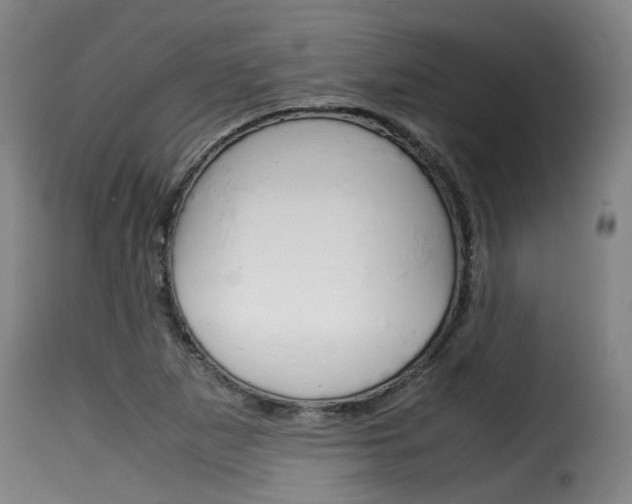 X0000116061265200911201153