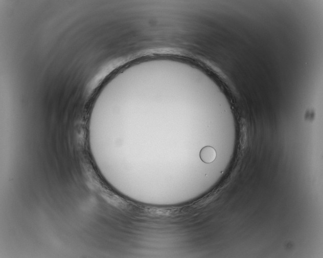 X0000116061266200911201153