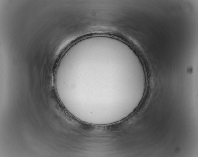 X0000116061267200911201153