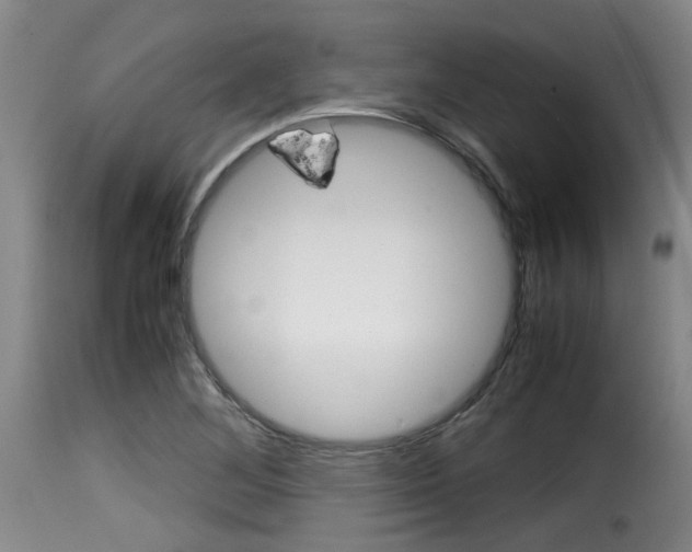 X0000116061268200911201152
