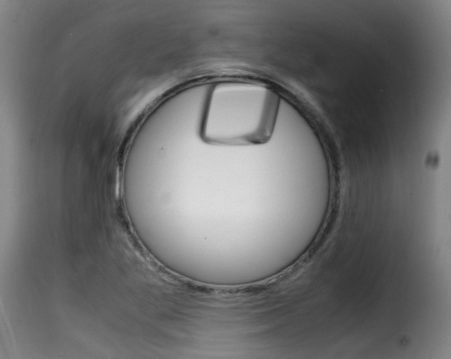 X0000116061269200911201152