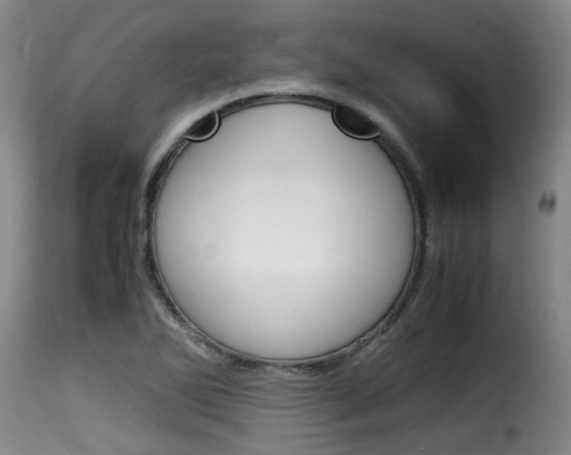 X0000116061270200911201152
