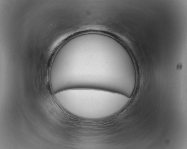 X0000116061271200911201152