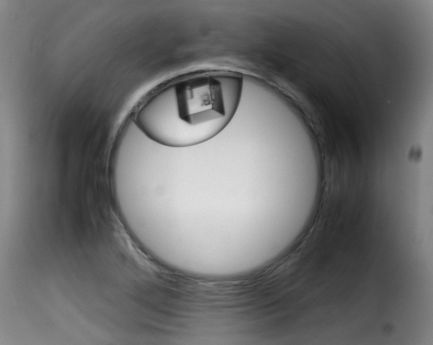 X0000116061272200911201152