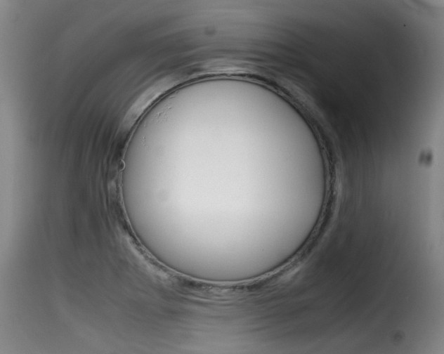 X0000116061273200911201152