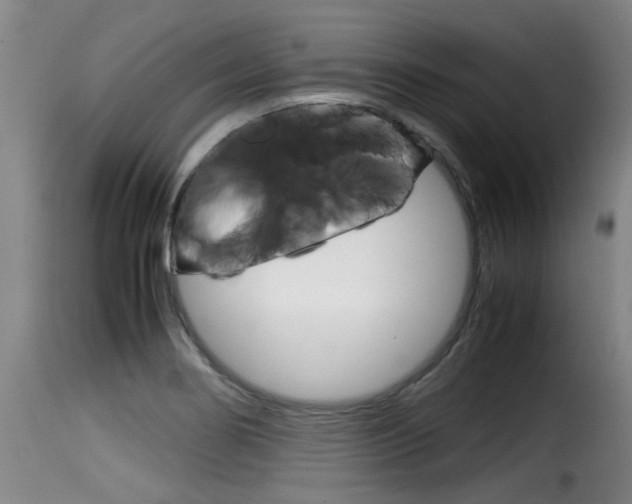 X0000116061274200911201152