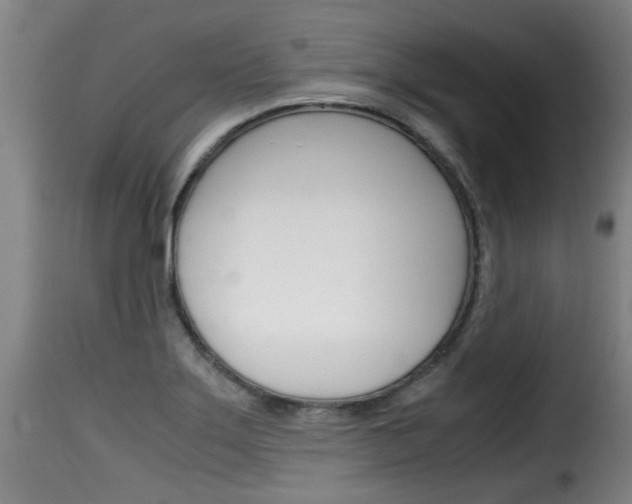 X0000116061275200911201152
