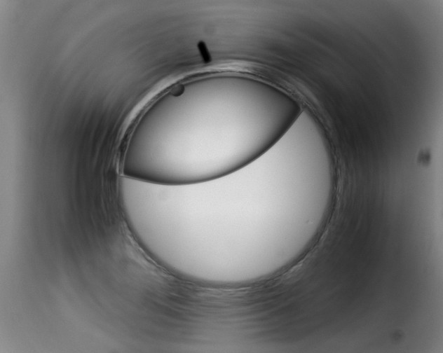 X0000116061276200911201152
