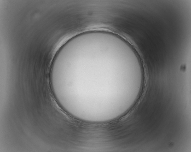 X0000116061277200911201152