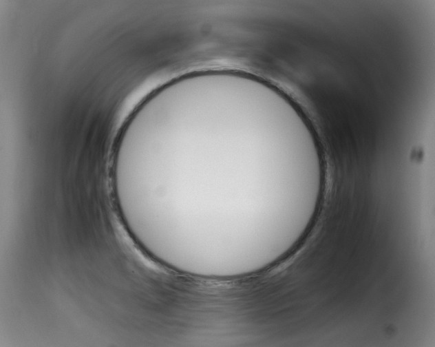 X0000116061278200911201152