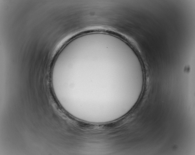X0000116061279200911201152