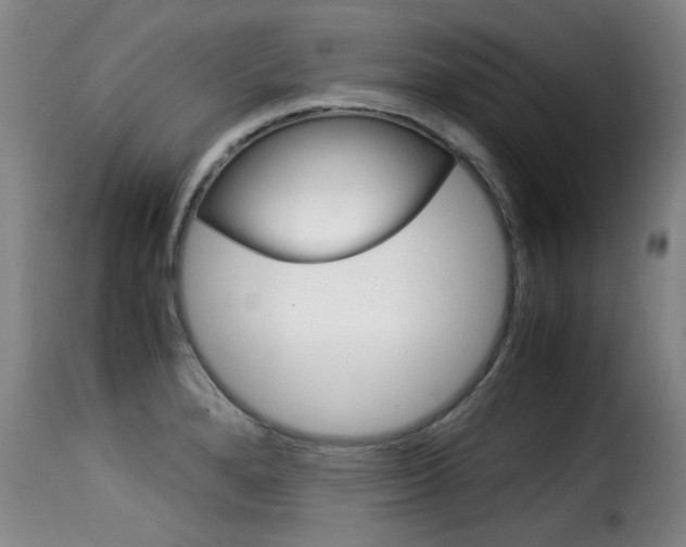 X0000116061280200911201152