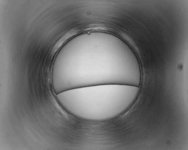 X0000116061282200911201152