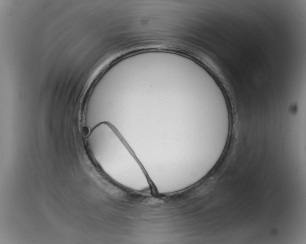 X0000116061283200911201152