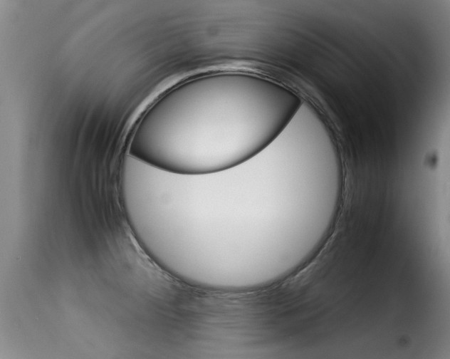 X0000116061284200911201152