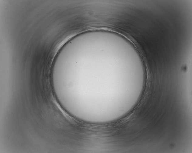 X0000116061285200911201152