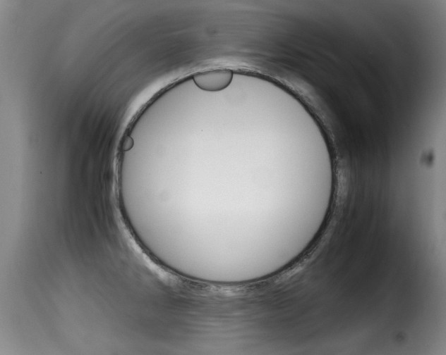 X0000116061286200911201152