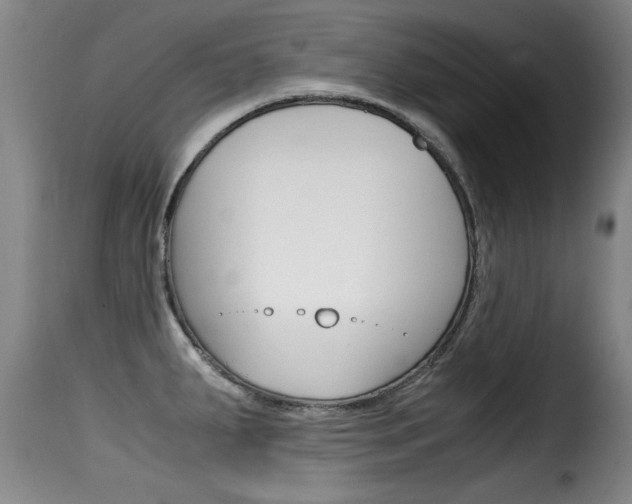 X0000116061287200911201152