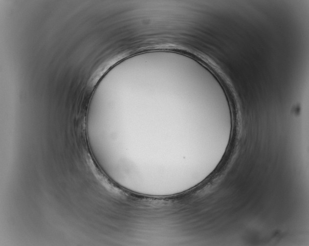 X0000116061289200911201152