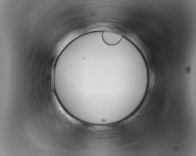 X0000116061290200911201152