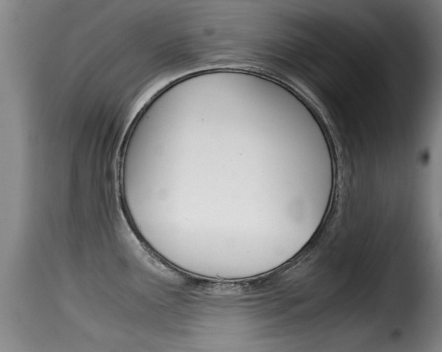 X0000116061291200911201152