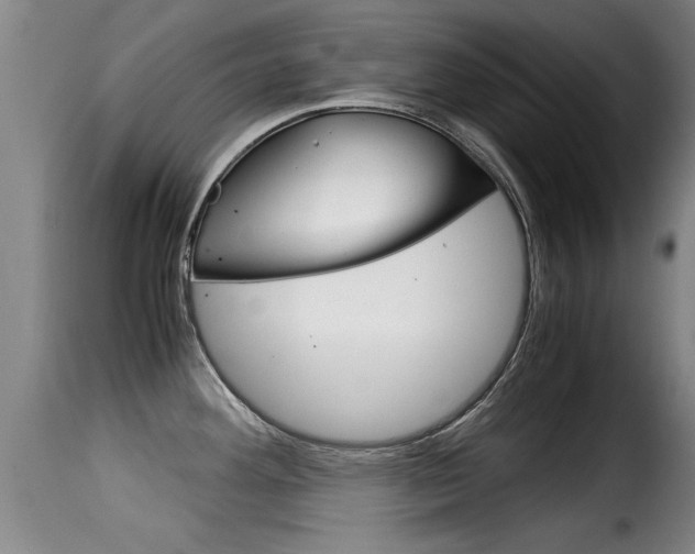 X0000116061292200911201152