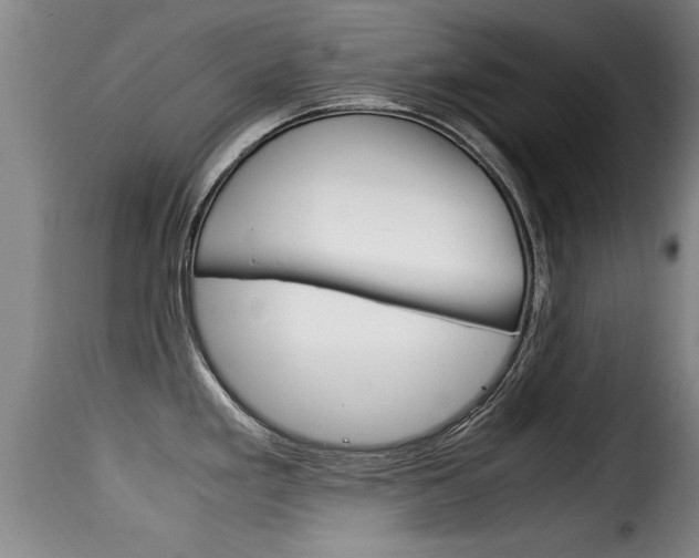 X0000116061293200911201152