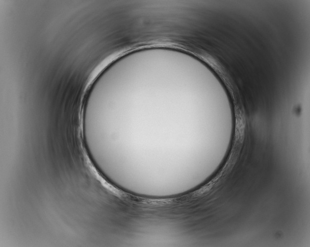 X0000116061294200911201152