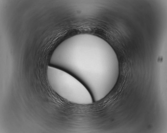 X0000116061297200911201151