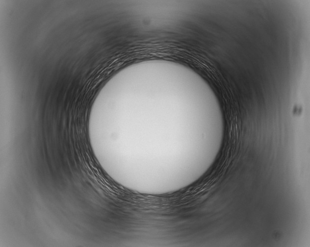 X0000116061298200911201151