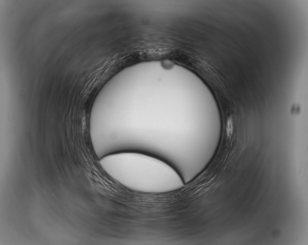 X0000116061299200911201151