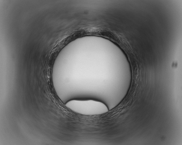 X0000116061301200911201152