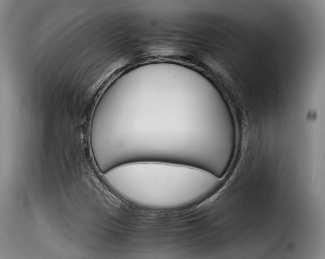 X0000116061305200911201152