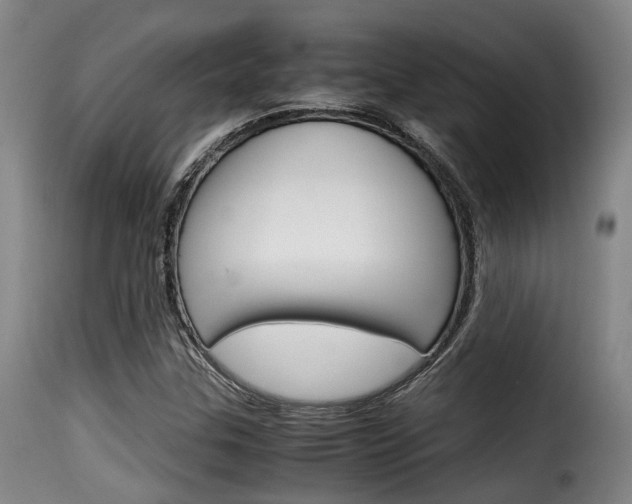 X0000116061307200911201152