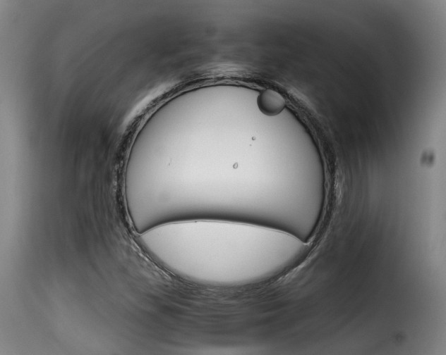 X0000116061309200911201152