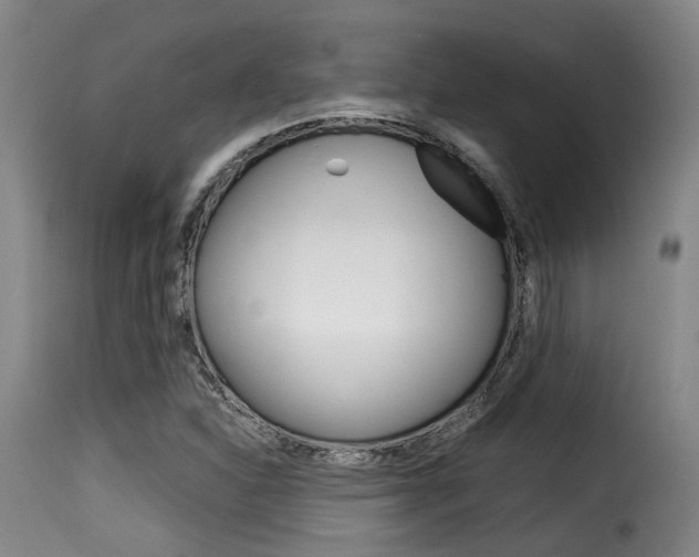 X0000116061310200911201152
