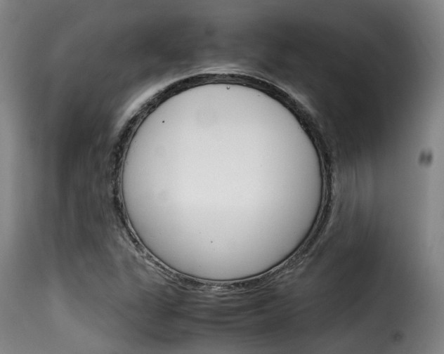 X0000116061311200911201152