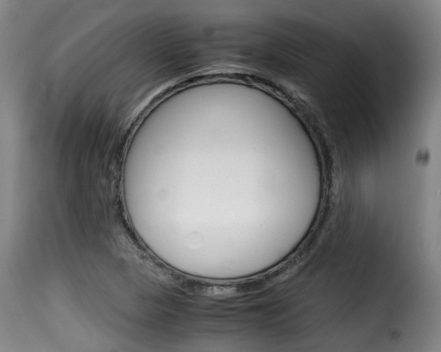 X0000116061313200911201152