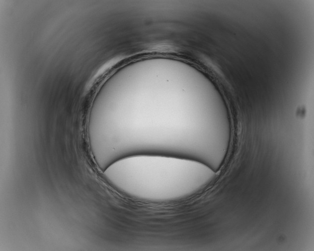 X0000116061315200911201152
