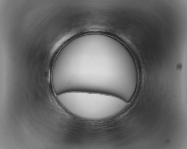 X0000116061317200911201152
