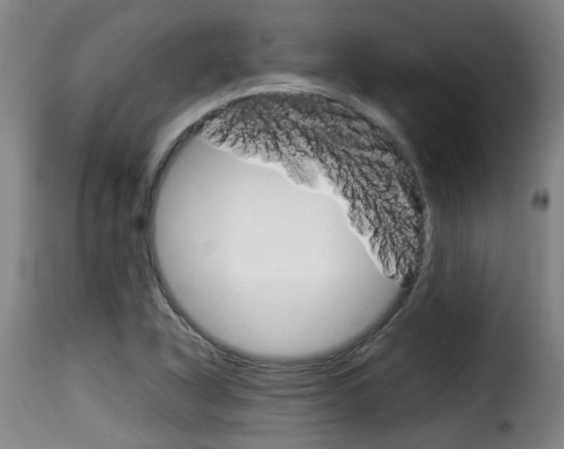 X0000116061318200911201152