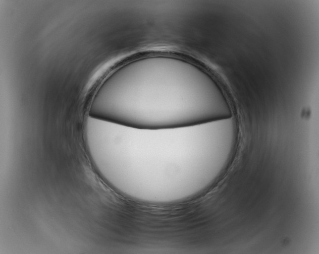 X0000116061319200911201152