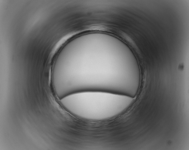 X0000116061323200911201152