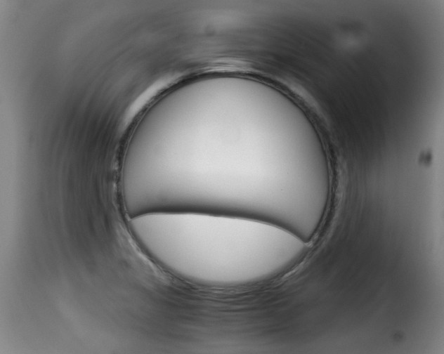 X0000116061325200911201152